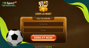 Đánh giá trải nghiệm thực từ người dùng